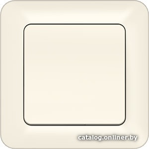 

Выключатель Vilma Style SL 250 P110-010 iv