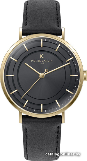 

Наручные часы Pierre Cardin CBN.3035