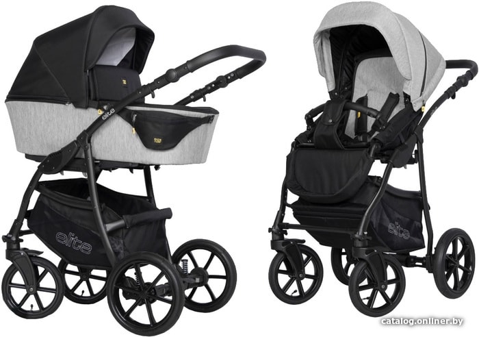 

Универсальная коляска Expander Elite (2 в 1, 03 silver)