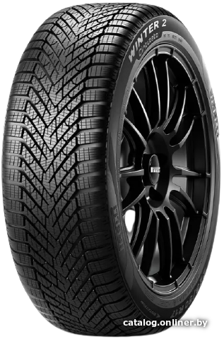 

Зимние шины Pirelli Cinturato Winter 2 195/55R16 91H XL