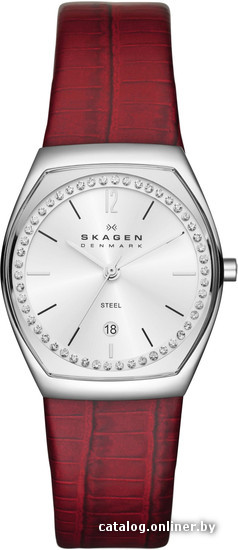 

Наручные часы Skagen SKW2103