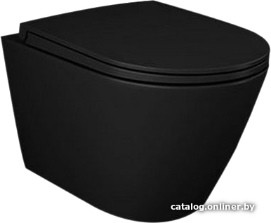 

Унитаз Rak Ceramics Feeling RST23504A
