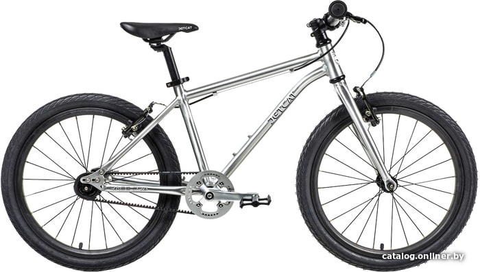 

Детский велосипед JetCat Race Pro 20 (серебристый)