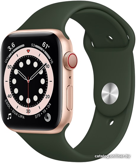 

Умные часы Apple Watch Series 6 LTE 44 мм (сталь золотистый/зеленый спортивный)