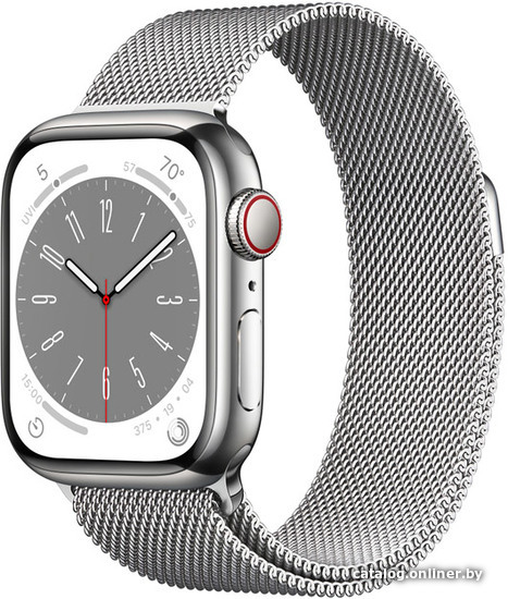 

Умные часы Apple Watch Series 8 41 мм (корпус из нержавеющей стали, серебро/миланский серебристый)