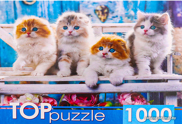 

Пазл Top Puzzle Котята скоттиш фолд