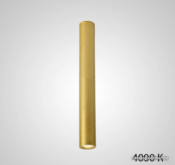 

Точечный светильник ImperiumLoft Pan01 212653-23