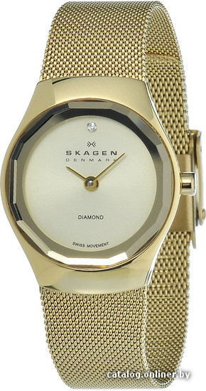 

Наручные часы Skagen 432SGSG