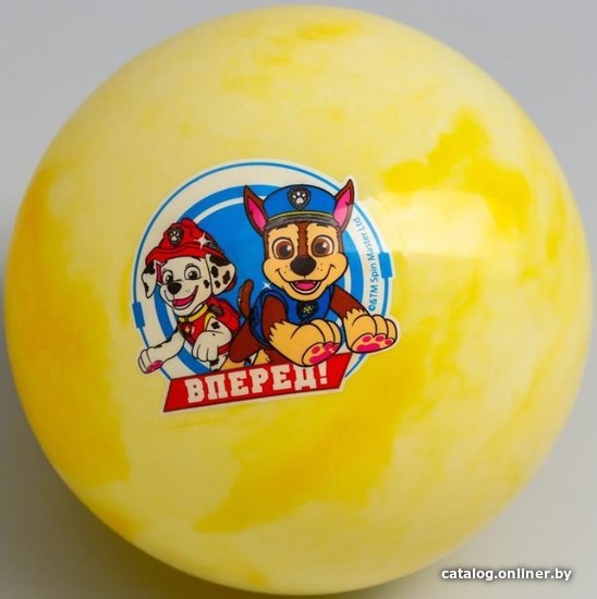 

Детский мяч PAW Patrol Вперед 5083423 (