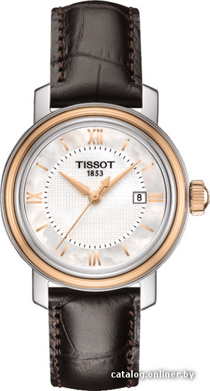 

Наручные часы Tissot Bridgeport Quartz Lady T097.010.26.118.00