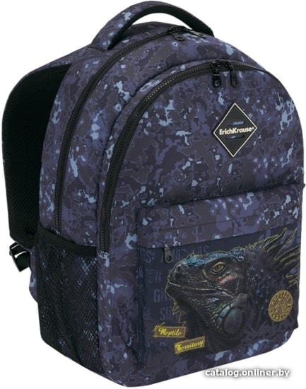 

Школьный рюкзак Erich Krause EasyLine 20L Iguana 48608