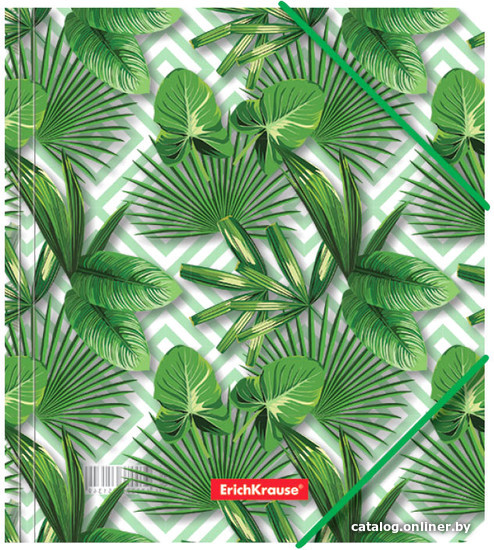 

Набор папок Erich Krause Tropical Leaves A5+ 49355 (4 шт)