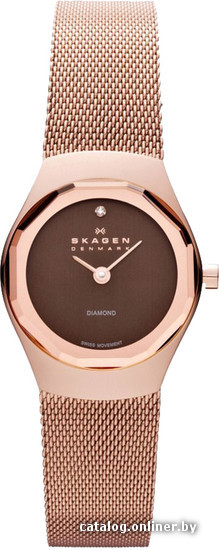 

Наручные часы Skagen 432SRRD