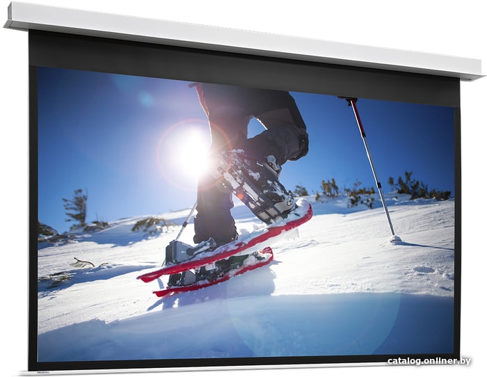

Проекционный экран Projecta DescenderPro 141х220 10144797