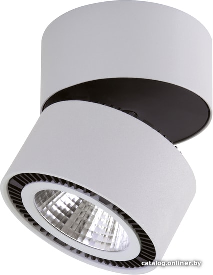 

Точечный светильник Lightstar Forte inca 214839
