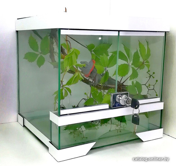 

Террариум Hydroterra Exotica (120л, белый)