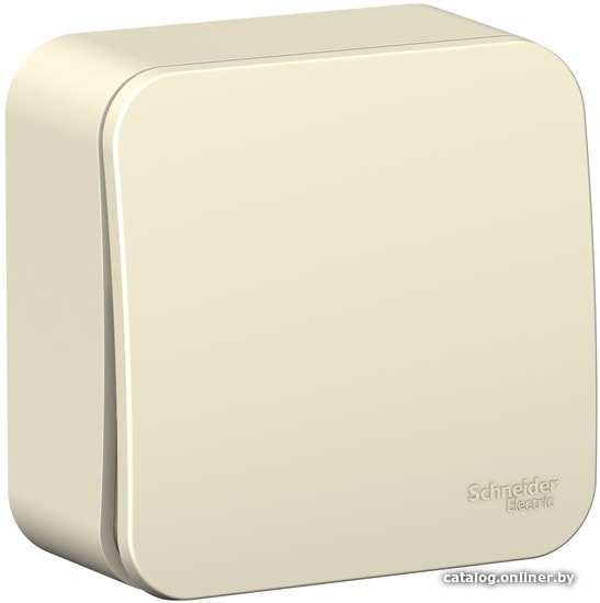 

Выключатель Schneider Electric Blanca BLNVA061002