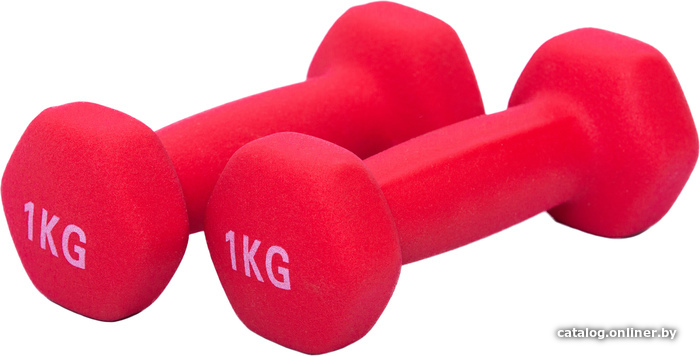 

Набор гантелей XinRui MS1004 2x1 кг