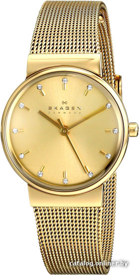 

Наручные часы Skagen SKW2196