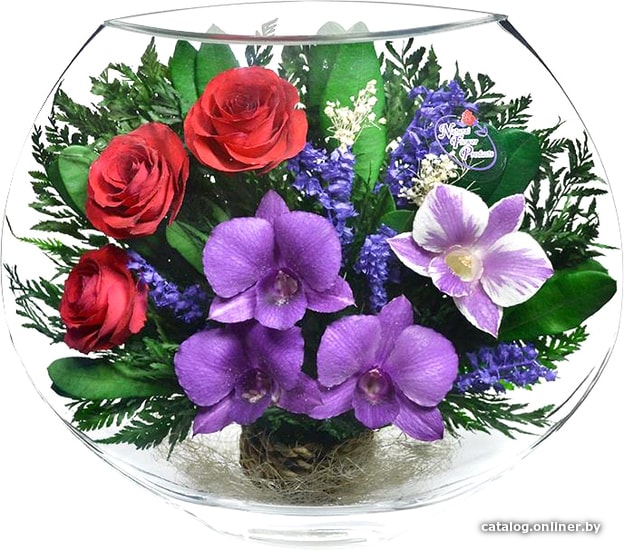 

Цветы, букеты Natural Flower Products Композиция из орхидей и красных роз LTT-09