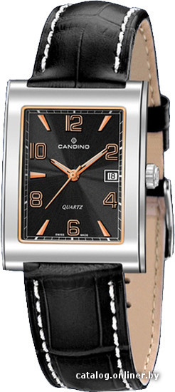 

Наручные часы Candino C4348/C