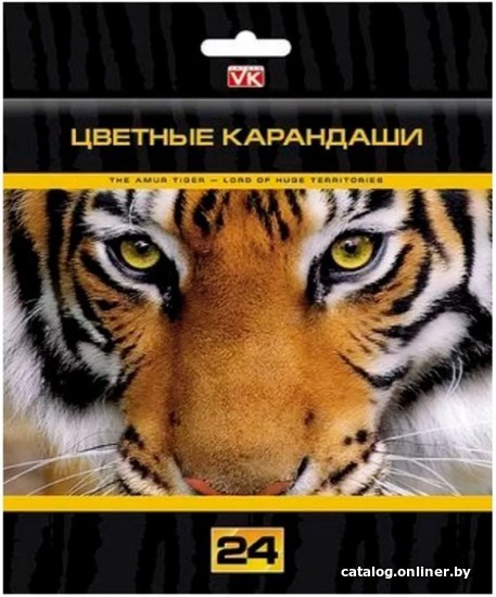 

Набор цветных карандашей Hatber VK Дикие звери BKc 24309 (24 шт)