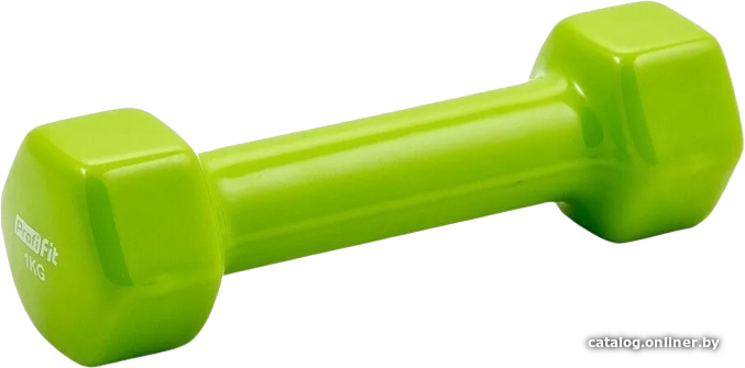 

Гантель Profi-Fit PF-VDB-1 1кг (зеленый)