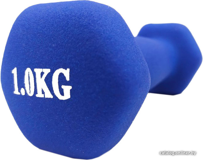 

Гантель ProFit MDK-101-4 1 кг