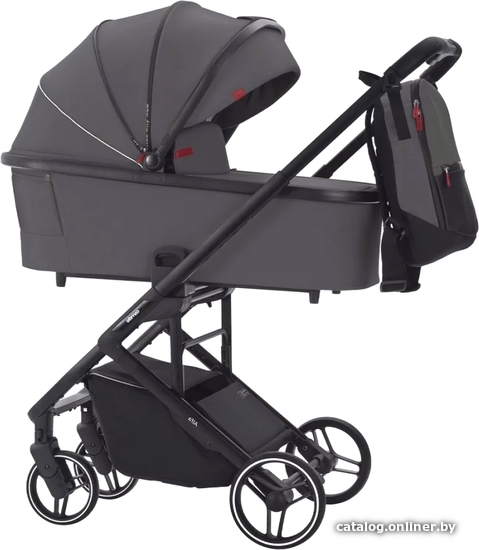 

Универсальная коляска Carrello Alfa CRL-6507 (2 в 1, falcon grey)