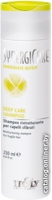 

Itely Hairfashion Шампунь для сильно поврежденных волос Deep Care Shampoo 250 мл