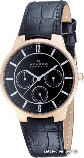 

Наручные часы Skagen 331XLRLB
