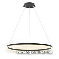 

Подвесная люстра LED Technology Ring 50 B