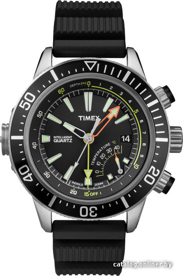 

Наручные часы Timex T2N810
