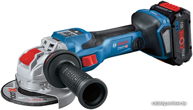 

Угловая шлифмашина Bosch GWX 18V-15 SC Professional 06019H6501 (с 2-мя АКБ, кейс)