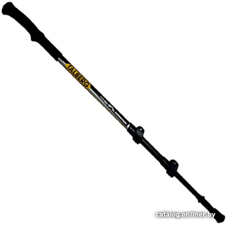 

Треккинговые палки Talberg Expedition Pole (черный)