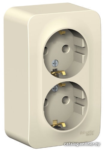 

Розетка Schneider Electric Blanca BLNRA010202