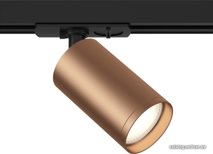 

Трековый светильник Maytoni TR020-1-GU10-BC