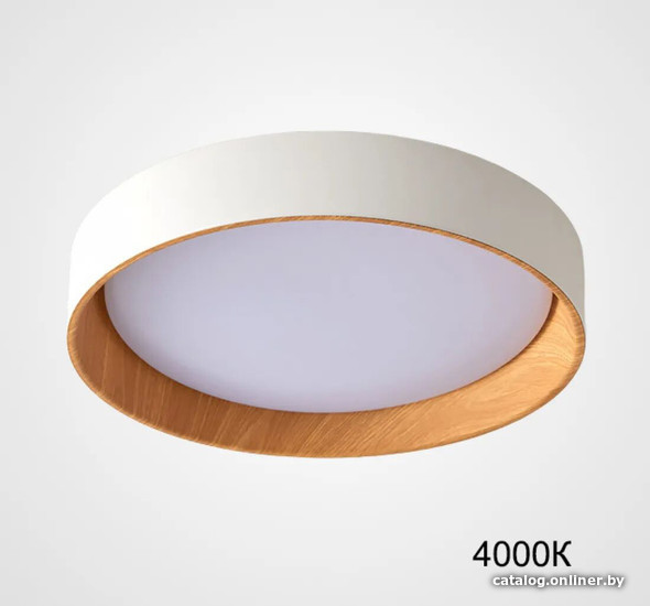 

Светильник-тарелка ImperiumLoft Wenny01 223982-23