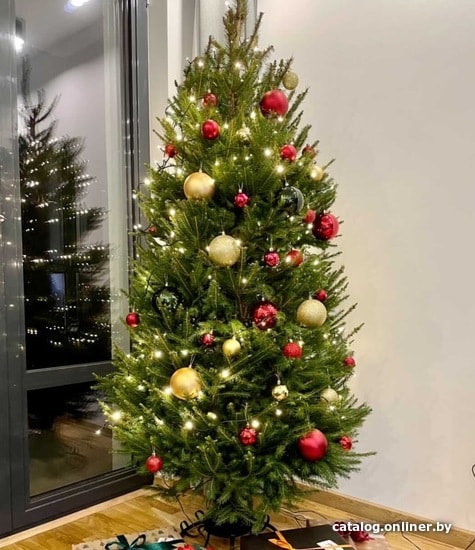 

Ель HD Nordic Trees Abies Датская (1.5-1.7 м, срезанная)