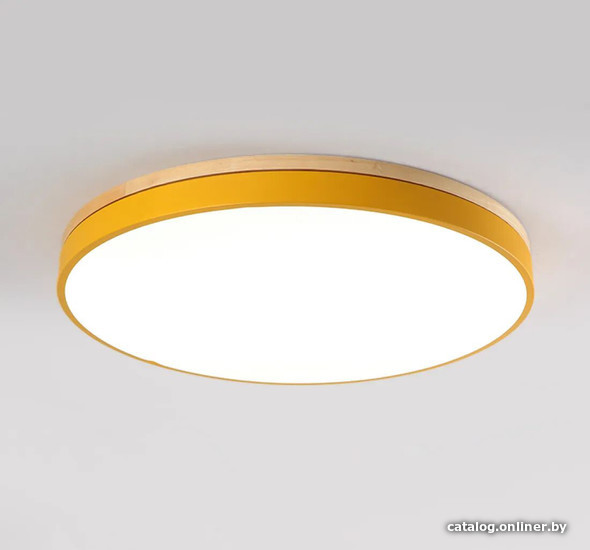 

Светильник-тарелка ImperiumLoft Disc-d01 193134-26