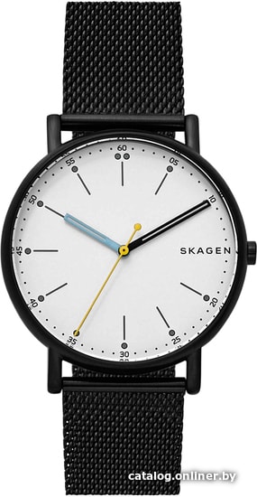 

Наручные часы Skagen SKW6376