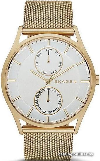 

Наручные часы Skagen SKW6173