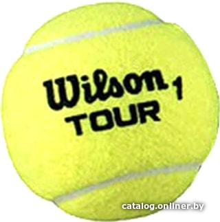 

Набор теннисных мячей Wilson Tour All Court WRT115700 (4 шт)