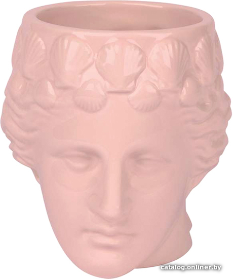

Чашка Doiy Aphrodite DYMUGAPHR (розовый)