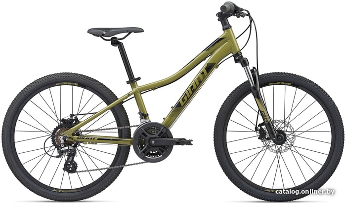 

Велосипед Giant XTC JR Disc 24 2020 (зеленый)
