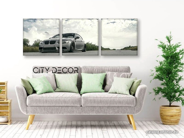 

Модульная картина Citydecor Транспорт 3.28 37x117 см