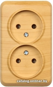

Розетка SmartBuy SBE-03lw-10-S2-N