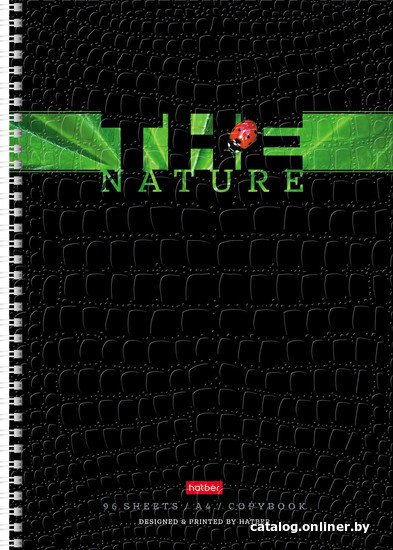 

Общая тетрадь Hatber Nature 96Т4тВ1гр (96 л)