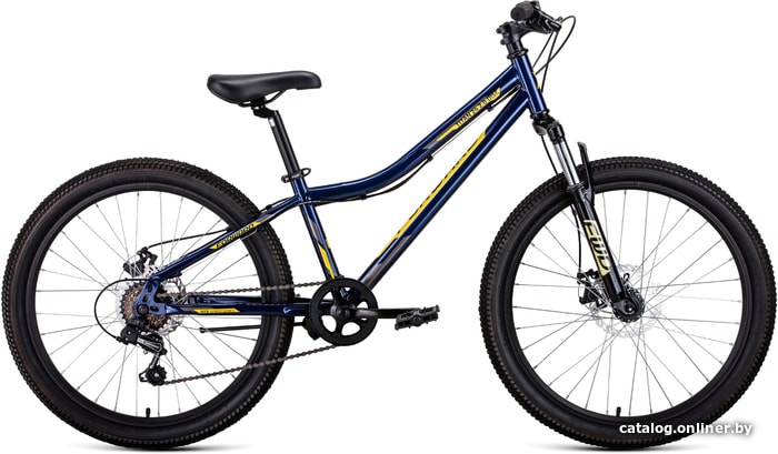 

Велосипед Forward Titan 24 2.0 disc 2021