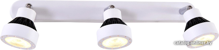 

Спот Citilux Данди CL557531